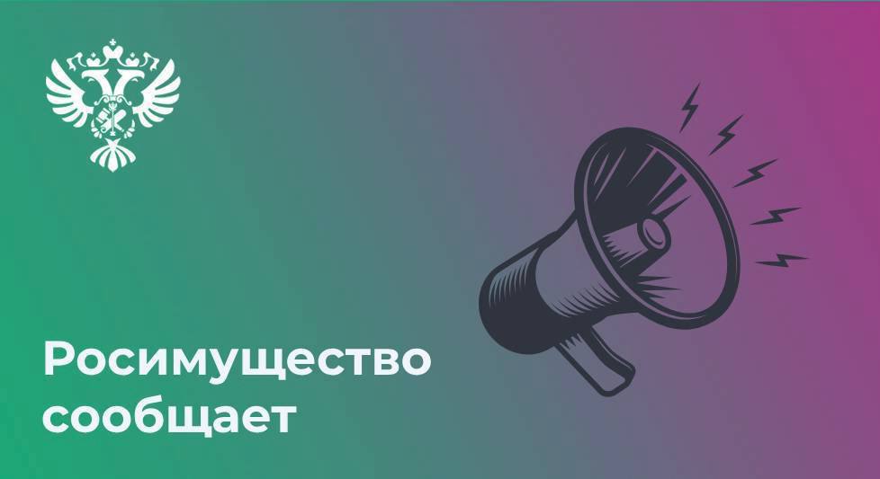 Информационное сообщение о реализации древесины и образцы документов для участия в продаже